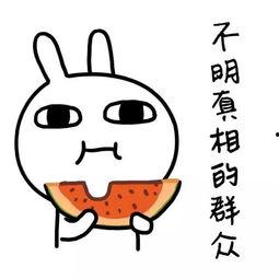 吃瓜不分年龄娱乐搞笑,吃瓜不分年龄,欢乐共享的娱乐盛宴